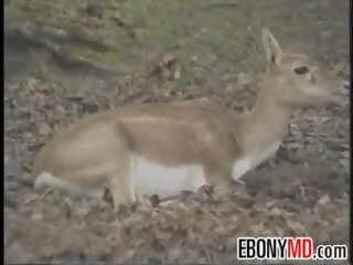 흑단 공상 여성 갱 부딪 혔어요 에 그만큼 밀림